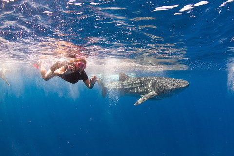 VIP Luxury Chartered Escapes, Exploring The Reef At Your Own Pace - Accommodation Kalgoorlie 8