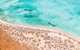 VIP Luxury Chartered Escapes, Exploring The Reef At Your Own Pace - thumb 4