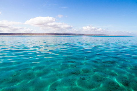 VIP Luxury Chartered Escapes, Exploring The Reef At Your Own Pace - Accommodation Kalgoorlie 32