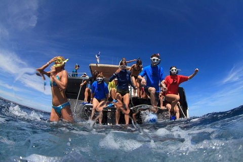 VIP Luxury Chartered Escapes, Exploring The Reef At Your Own Pace - Accommodation Kalgoorlie 17
