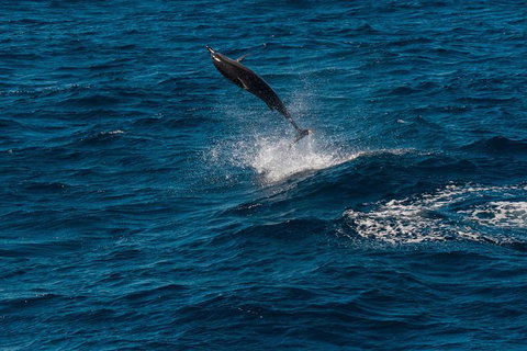 VIP Luxury Chartered Escapes, Exploring The Reef At Your Own Pace - Accommodation Kalgoorlie 42