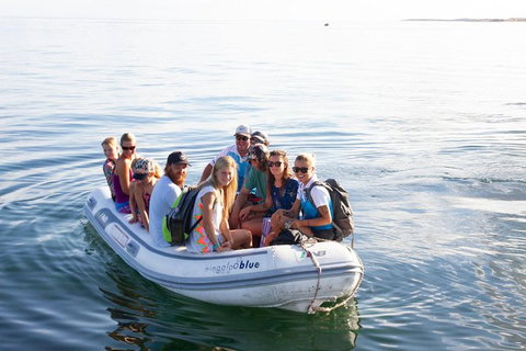 VIP Luxury Chartered Escapes, Exploring The Reef At Your Own Pace - Accommodation Kalgoorlie 43