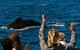 VIP Luxury Chartered Escapes, Exploring The Reef At Your Own Pace - thumb 21