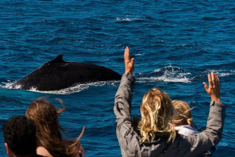 VIP Luxury Chartered Escapes, Exploring The Reef At Your Own Pace - Accommodation Kalgoorlie 21