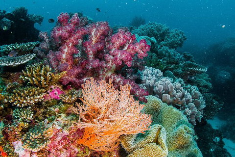 VIP Luxury Chartered Escapes, Exploring The Reef At Your Own Pace - Accommodation Kalgoorlie 33
