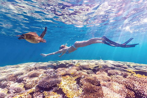 7-Day Exmouth Explorer Via Pinnacles Monkey Mia Ningaloo Reef Returning To Perth - Accommodation Kalgoorlie 0