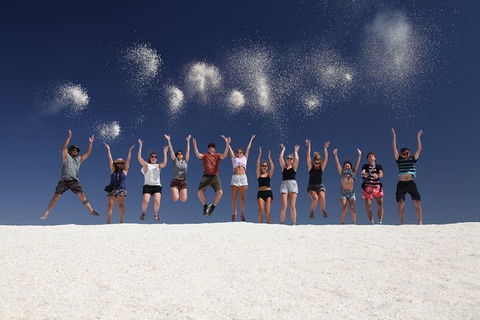 7-Day Exmouth Explorer Via Pinnacles Monkey Mia Ningaloo Reef Returning To Perth - Accommodation Kalgoorlie 1