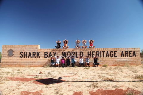 7-Day Exmouth Explorer Via Pinnacles Monkey Mia Ningaloo Reef Returning To Perth - Accommodation Kalgoorlie 14