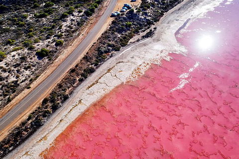 7-Day Exmouth Explorer Via Pinnacles Monkey Mia Ningaloo Reef Returning To Perth - Accommodation Kalgoorlie 5