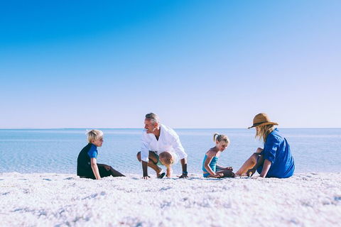 7-Day Exmouth Explorer Via Pinnacles Monkey Mia Ningaloo Reef Returning To Perth - Accommodation Kalgoorlie 6