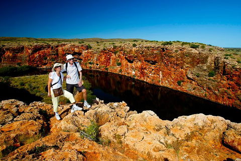 7-Day Exmouth Explorer Via Pinnacles Monkey Mia Ningaloo Reef Returning To Perth - Accommodation Kalgoorlie 12