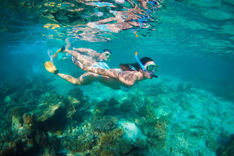 7-Day Exmouth Explorer Via Pinnacles Monkey Mia Ningaloo Reef Returning To Perth - Accommodation Kalgoorlie 13
