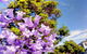 Big Perth (Private) Day Tour - thumb 19