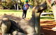 Big Perth (Private) Day Tour - thumb 13