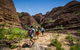 Bungle Bungle Scenic Flights, Domes & Cathedral Gorge Walk - thumb 4