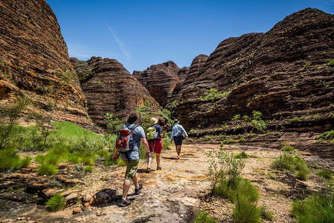 Bungle Bungle Scenic Flights, Domes & Cathedral Gorge Walk - Accommodation Kalgoorlie 4