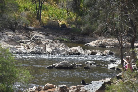 Private Swan Valley Tour By Luxury Vehicle From Perth - Accommodation Kalgoorlie 5