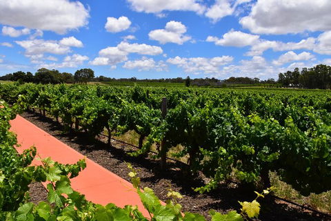 Private Swan Valley Tour By Luxury Vehicle From Perth - Accommodation Kalgoorlie 7