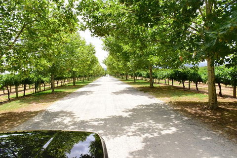 Private Swan Valley Tour By Luxury Vehicle From Perth - Accommodation Kalgoorlie 27