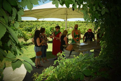 Private Swan Valley Tour By Luxury Vehicle From Perth - Accommodation Kalgoorlie 15