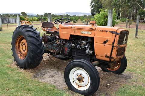 Private Swan Valley Tour By Luxury Vehicle From Perth - Accommodation Kalgoorlie 13