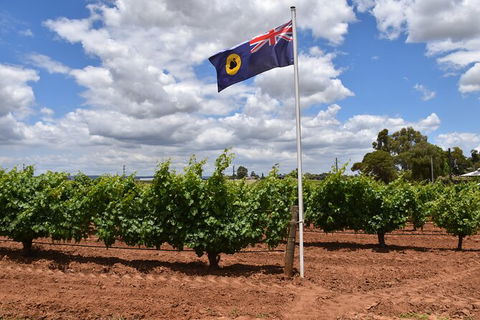 Private Swan Valley Tour By Luxury Vehicle From Perth - Accommodation Kalgoorlie 14