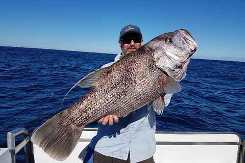 Deep Sea Fishing Charter From Perth - Accommodation Kalgoorlie 2