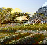 Margaret River and Geographe Bay Region Day Trip from Perth - Accommodation Kalgoorlie