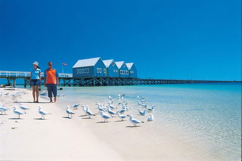 Margaret River And Geographe Bay Region Day Trip From Perth - Accommodation Kalgoorlie 3