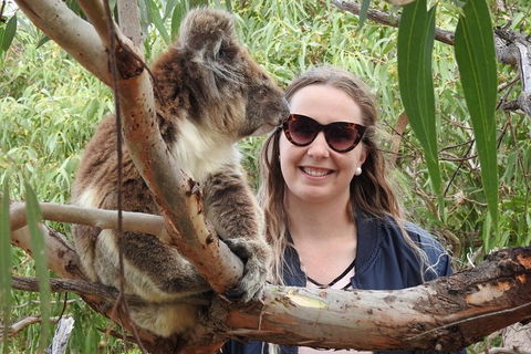 9-Day Perth To Adelaide Adventure Tour - Accommodation Kalgoorlie 3