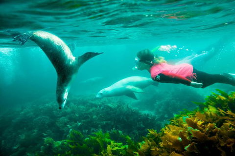 9-Day Perth To Adelaide Adventure Tour - Accommodation Kalgoorlie 7