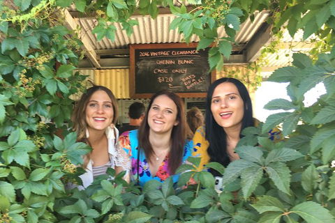 Perth River Cruise And Vineyard Experience: Best Of Both Worlds - Accommodation Kalgoorlie 1