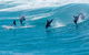 Full-Day Busselton Jetty, Train Ride & Dophin Discovery - thumb 1
