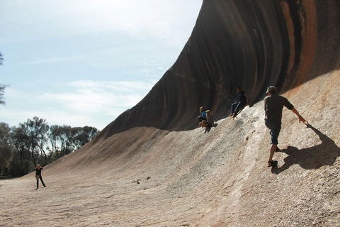 Wave Rock Half Day Air & Ground Tour - Accommodation Kalgoorlie 1