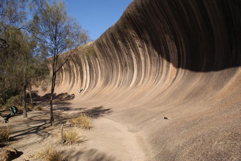 Wave Rock Half Day Air & Ground Tour - Accommodation Kalgoorlie 7