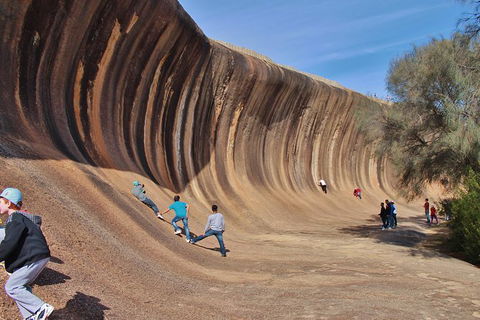 Wave Rock Half Day Air & Ground Tour - Accommodation Kalgoorlie 8
