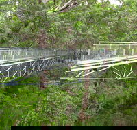 Albany Southwest Wilderness Day Tour - Fly From Perth - Accommodation Kalgoorlie