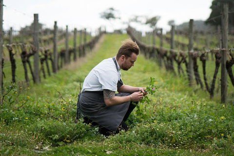 Vasse Felix Epicurean Tour And Tasting Experience With 5 Course Lunch - Accommodation Kalgoorlie 9