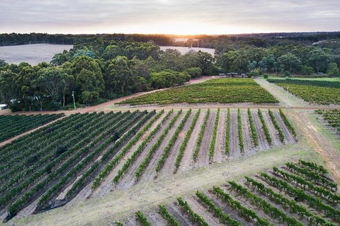 Vasse Felix Epicurean Tour And Tasting Experience With 5 Course Lunch - Accommodation Kalgoorlie 7