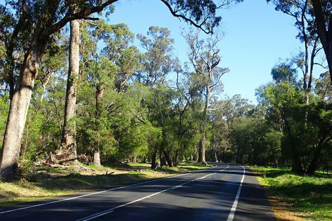 Margaret River (Private) Day Tour - Accommodation Kalgoorlie 1