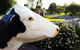 Margaret River (Private) Day Tour - thumb 22