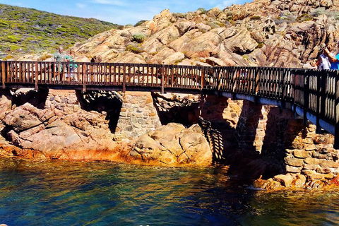 Margaret River (Private) Day Tour - Accommodation Kalgoorlie 15