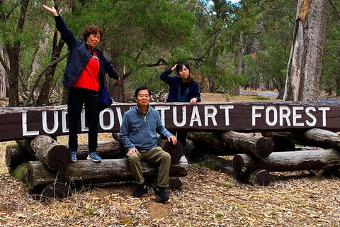 Margaret River (Private) Day Tour - Accommodation Kalgoorlie 21
