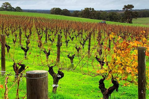 Margaret River (Private) Day Tour - Accommodation Kalgoorlie 8