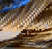 The Big Wave Rock Private Day Tour - Accommodation Kalgoorlie
