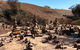 The Big Wave Rock (Private) Day Tour - thumb 8