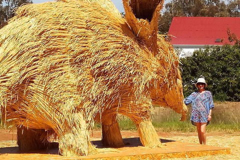 The Big Wave Rock (Private) Day Tour - Accommodation Kalgoorlie 16