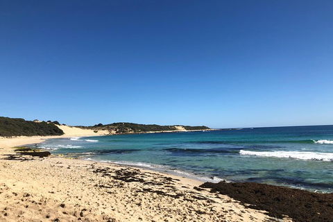 3d/2n Themed Camping Getaway - Private Campgrounds And National Parks - Accommodation Kalgoorlie 14