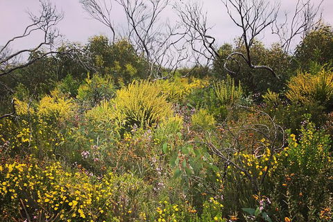 3d/2n Themed Camping Getaway - Private Campgrounds And National Parks - Accommodation Kalgoorlie 5