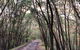 3d/2n Themed Camping Getaway - Private Campgrounds And National Parks - thumb 9